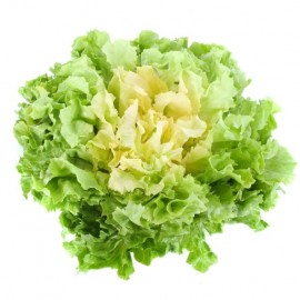 salade scarole plate