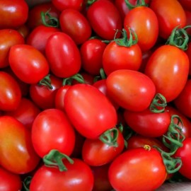 Tomate röteli de bâle