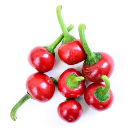 Piment red cherry small