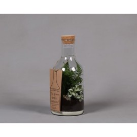 Terrarium arrangement