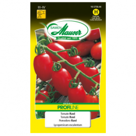 Tomate Ravi Profiline