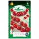 Tomate douces Solena Red F1