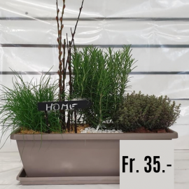 Caissette plantes aromatiques