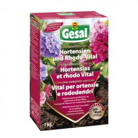 Gesal hortensia bleu