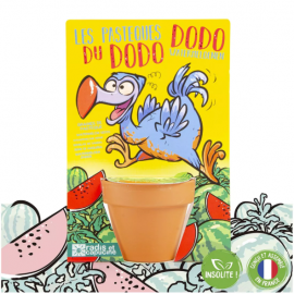 Le Dodo et ses graines de Pastèque à semer